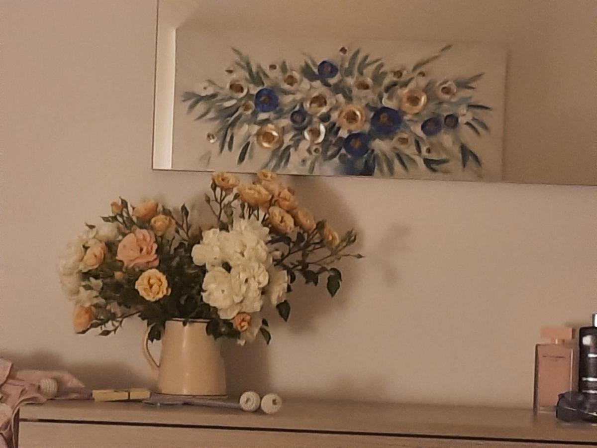 Vesna Apartment Desenzano del Garda Luaran gambar